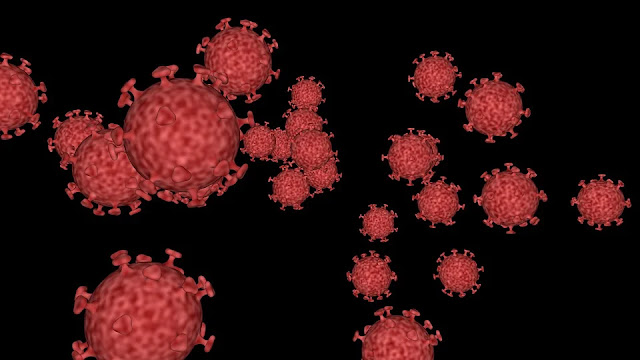 World's Coronavirus epidemic havoc