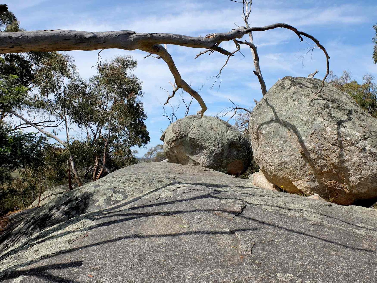 Black Hill Reserve Kyneton