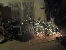 Kitten knocked over Christmas tree