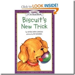 biscuit