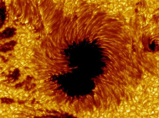 Aktivitas Matahari Granula, Sunspots Dan Prominences