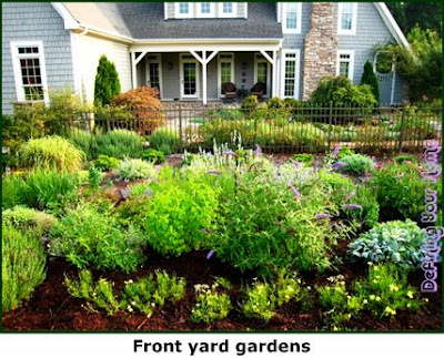 front yard landscaping ideas florida. florida front yard landscaping pictures. front yard landscaping ideas