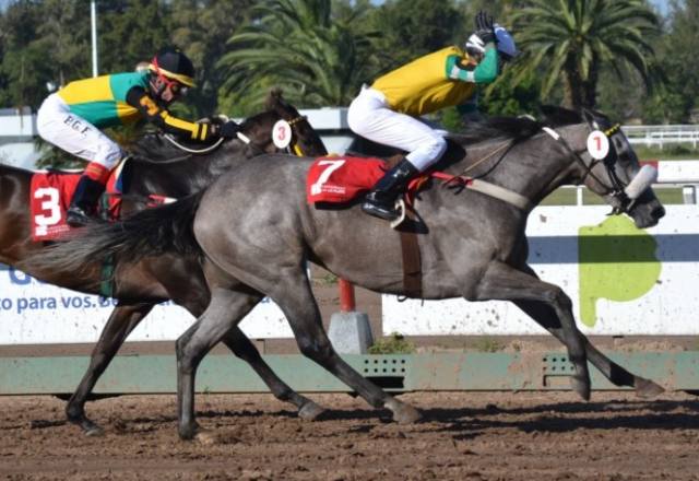 Silver Look Archipenko La Plata