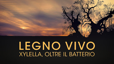 legno vivo