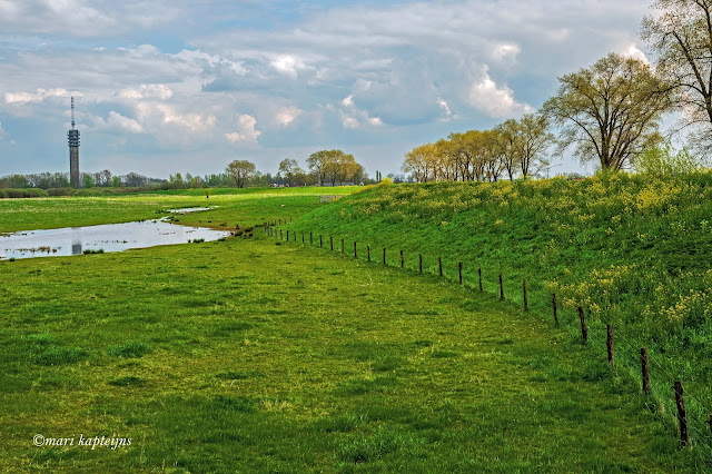 www.jetjesdag.nl | Mari Kapteijns fotografie | Maasgebied omgeving Ravenstein |