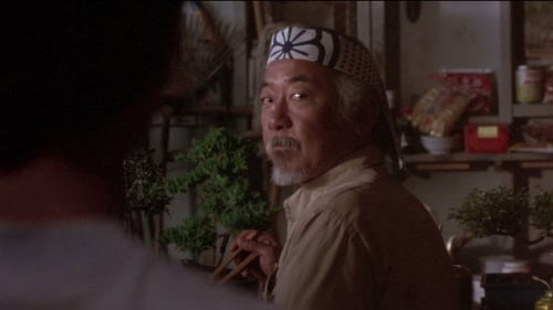 Karate Kid II - Entscheidung in Okinawa 1986 deutsche stimmen