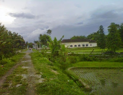 + Foto atau gambar pemandangan alam pedesaan di sore hari setelah turun hujan