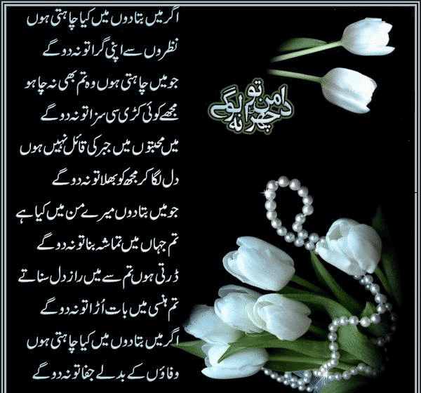 Dard Shairy