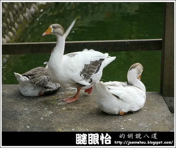 新竹市立動物園48