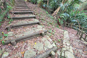 stairway, trail, stone, imitation logs, forest