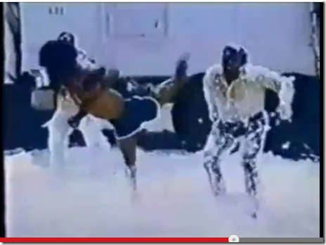 jim_kelly_fantastic_kick_homage