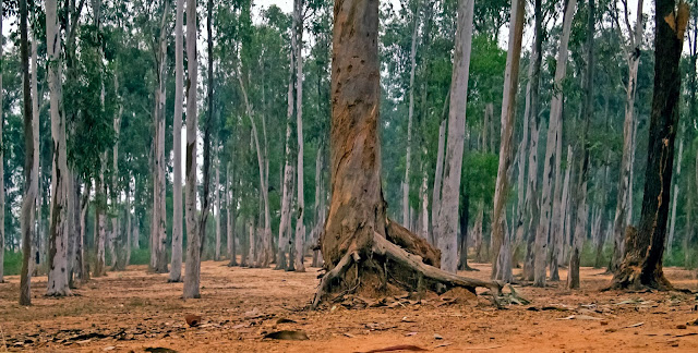 Shantiniketan