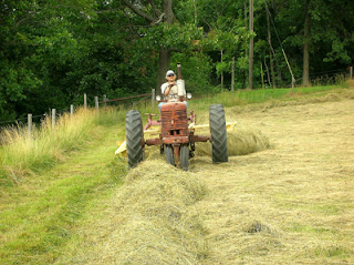 raking hayfield 1