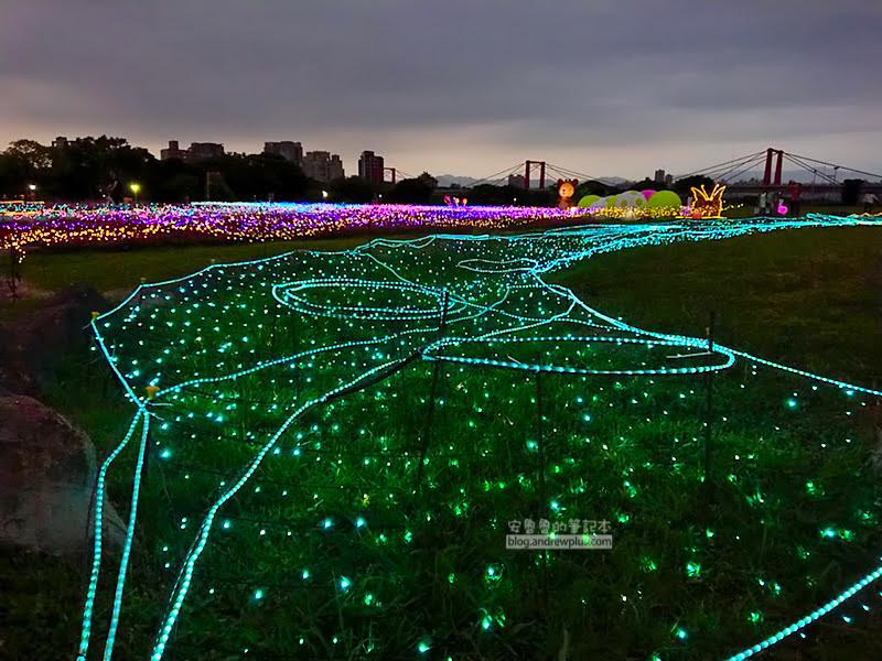 板橋蝴蝶公園,地景花海光雕,板橋景點,河濱蝶戀季