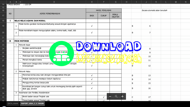 Aplikasi Raport PAUD Otomatis untuk Umur  Aplikasi Raport PAUD Otomatis untuk Umur 3-4 Tahun Format Excel Terbaru