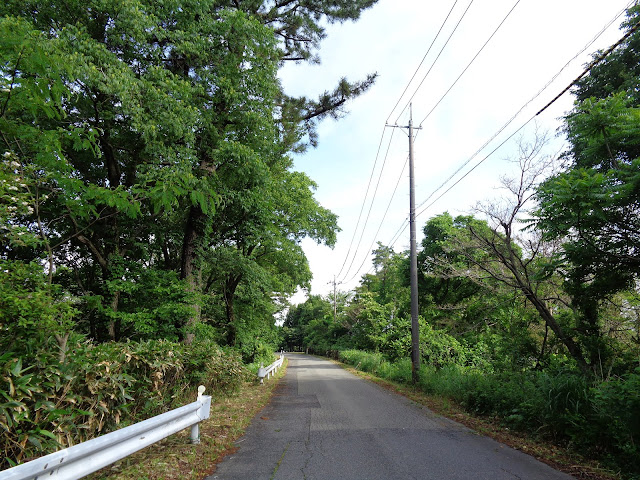 鳥取県道54号豊房御来屋線を下ります