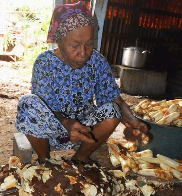 usaha rumahan tape sawangan