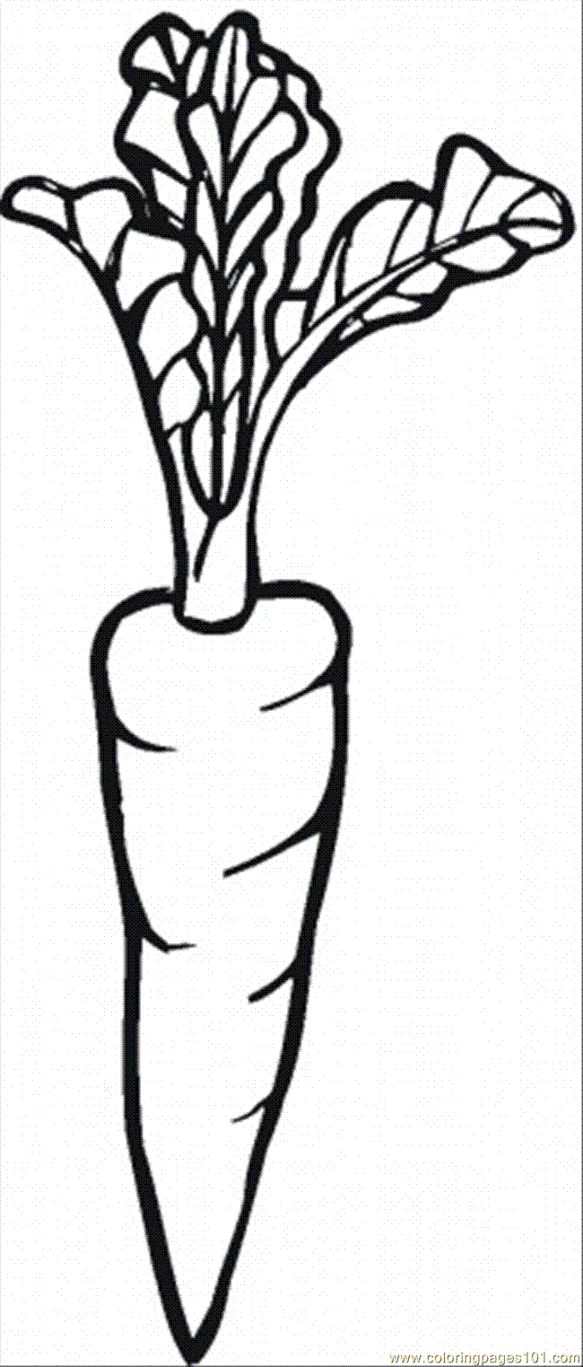 Carrot Coloring Page 9