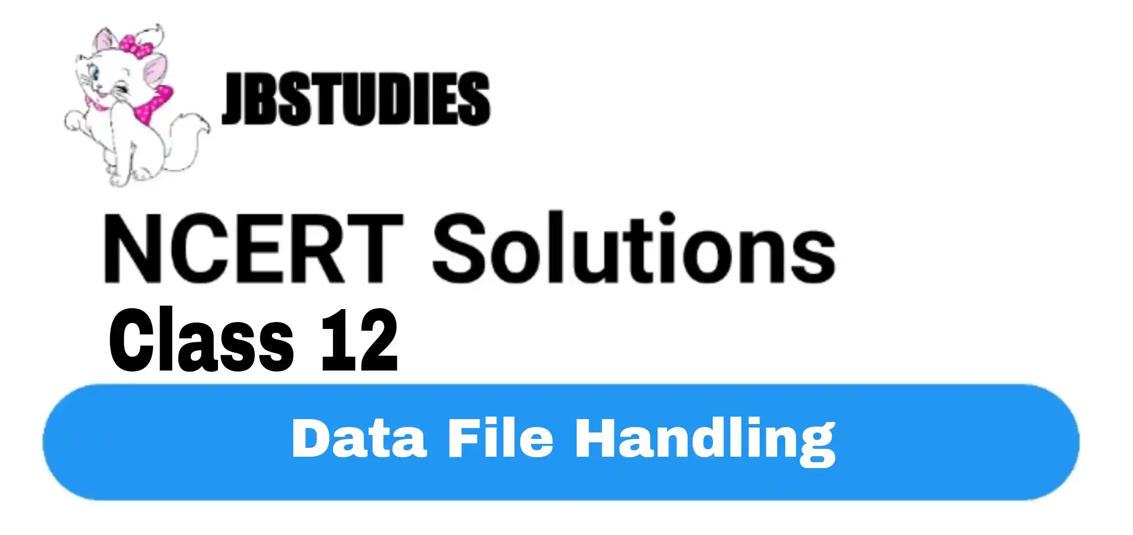 Solutions Class 12 Computer Science (Python) Chapter -4 (Data File Handling)