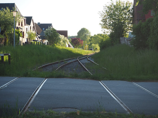 Die Schienen gehen über die Straße und vereinen sich. Links Häuser, rechts ein Haus von Büschen verdeckt.