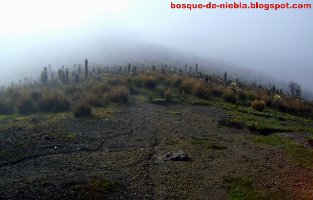 Nevado del Tolima