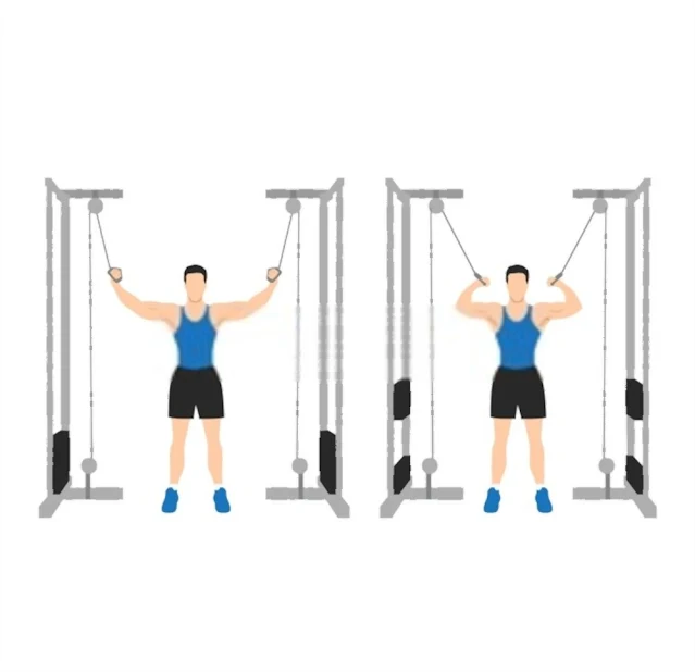 Man doing Standing high pulley cable curl. flat vector illustration isolated on different layers. Workout character