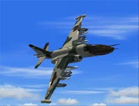 Su-25