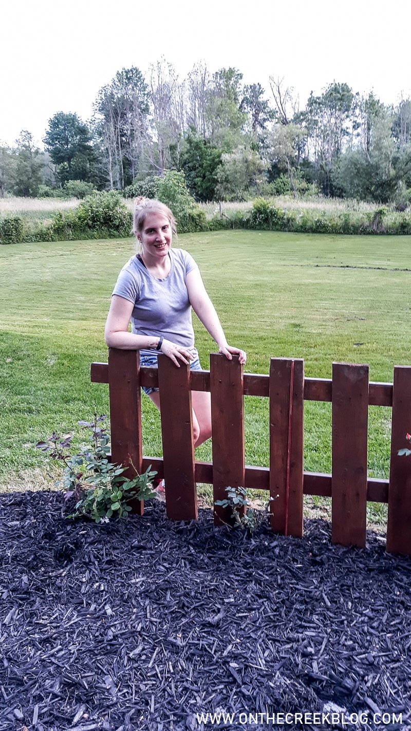 Rustic fence with climbing roses | On The Creek Blog