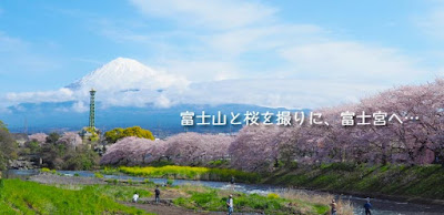 ☆富士山と桜を見るプチ旅行（富士宮）