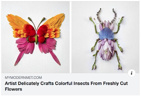 Colorful insects created from fresh cut flower petals, butterfly and beetle