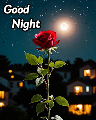 Red Rose Good Night Photo With Light Moon