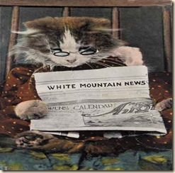 cat_reading_newspaper