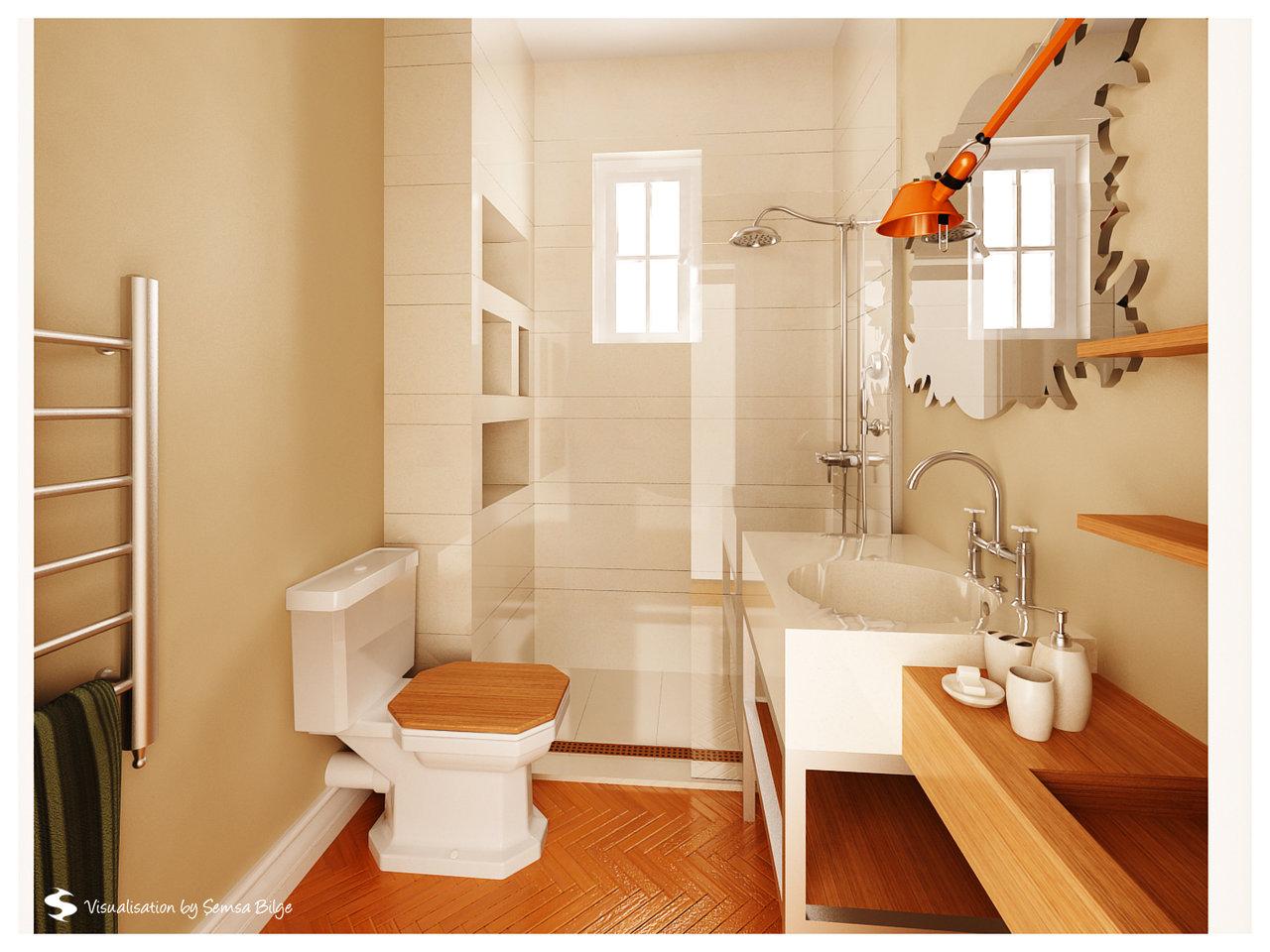 Small Bathrooms Designs Idea 2012