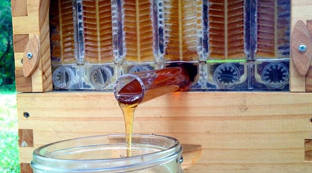 Έρανο κυψελών για τους πληγέντες μελισσοκόμους της χώρας οργανώνει η ΟΜΣΕ
