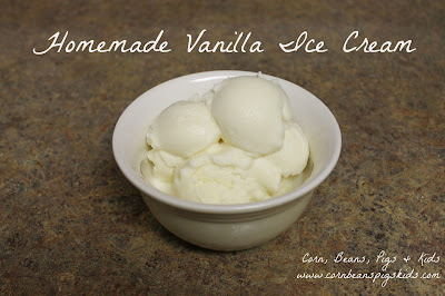 #Celebrate365 Ice Cream Social - Homemade Vanilla Ice Cream