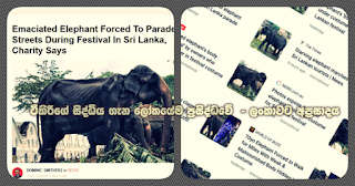 Tikiri's incident takes full coverage the world over -- humiliation to Sri Lanka