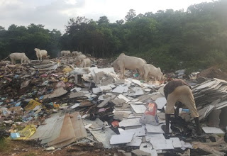 An informal waste worker sorting waste at a dumpsite in Nigeria