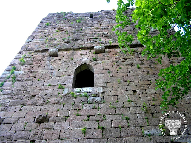 OBERHASLACH (67) - Château du Nideck