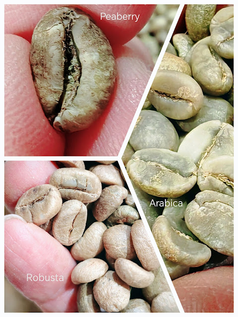 Eco_Ca_Phe_Vietnam_Pure_Coffee