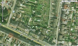 Plot From Above