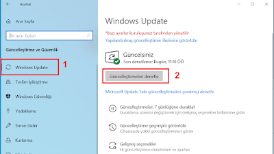 Windows