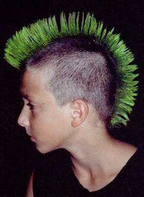 Punk Hairstyles