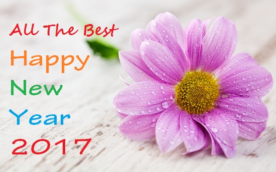 Happy New Year Wishes