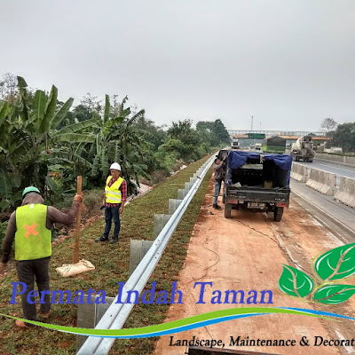 tukang taman depok profesional