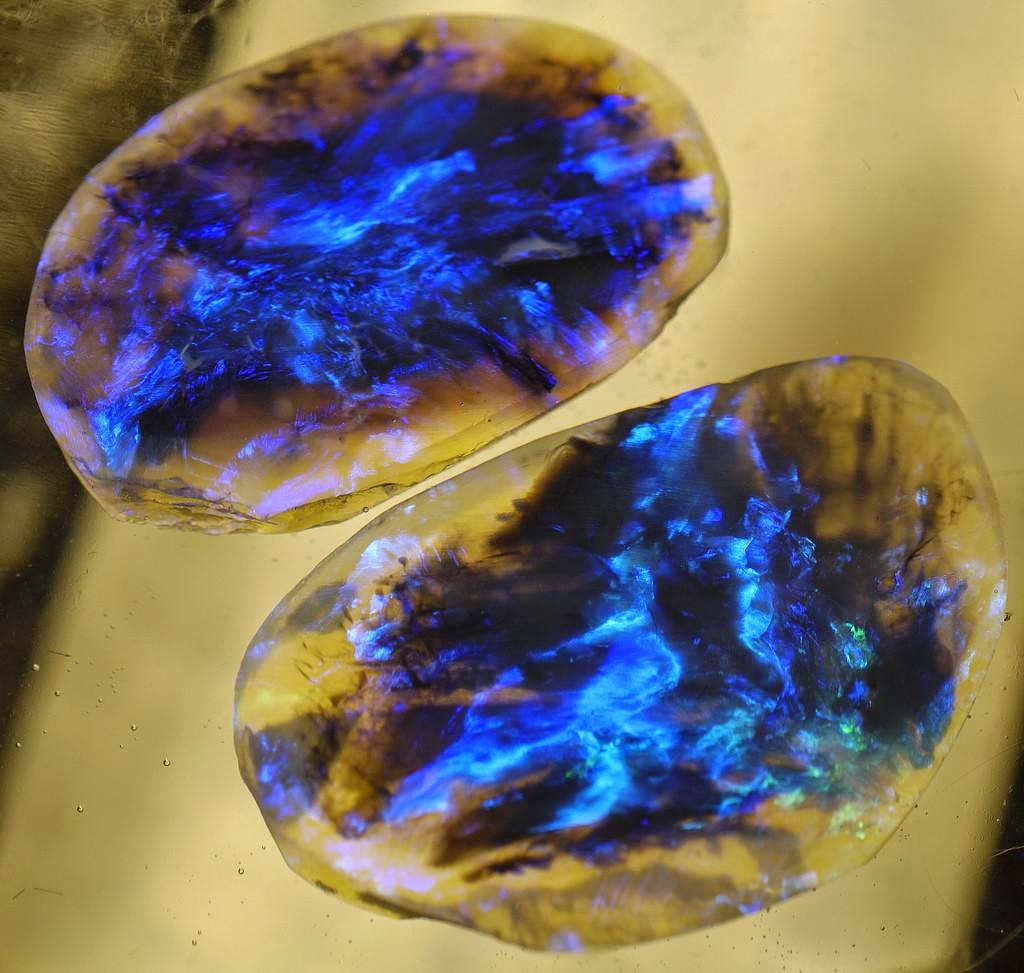 Kombinasi warna opal hitam dan biru Unik