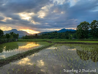 Sunrise over rice paddies in Pua, North Thailand