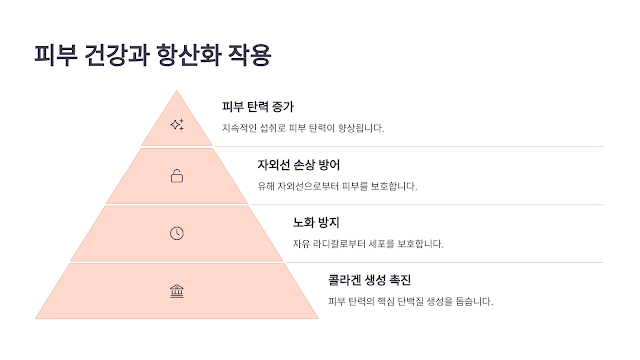 피부 건강과 항산화 작용