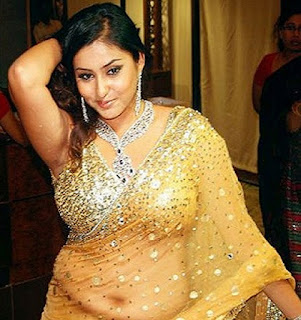 Actress Namitha Saree Strip Blouse Navel Hot Photos