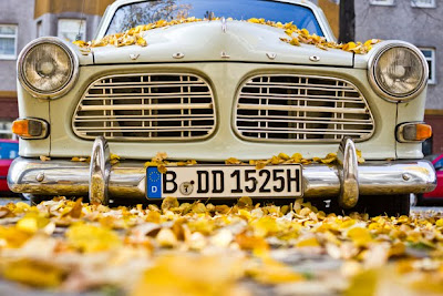 Autumn Leaves Berlin