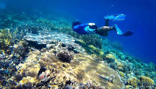 Gili Terindah Di Pulau Lombok 